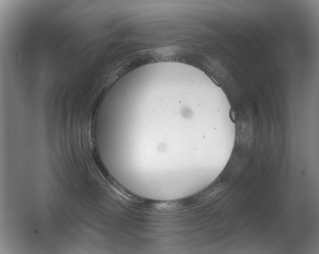 X0000064040238200601270940