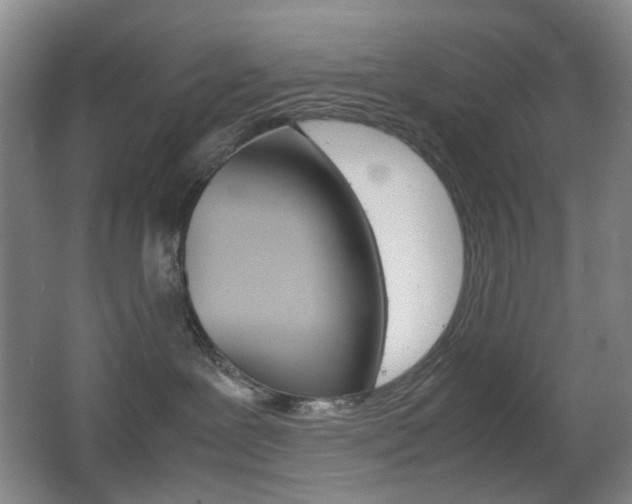 X0000064040239200601270940