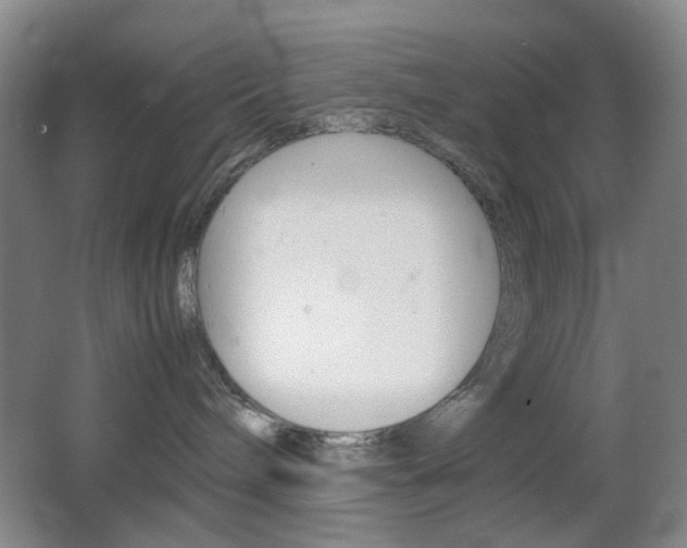 X0000064040240200601270940