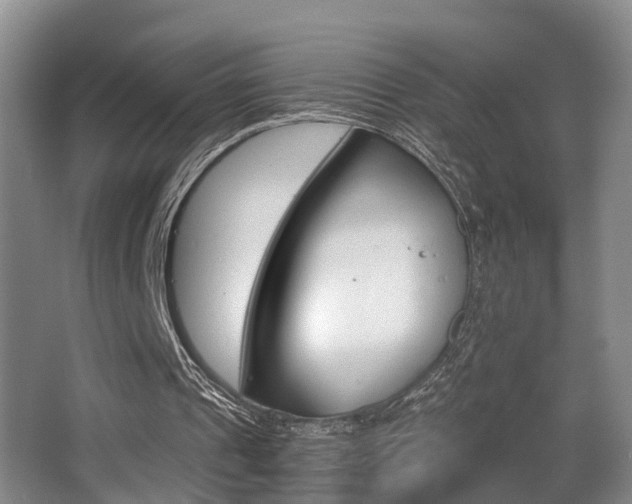 X0000064040241200601270939