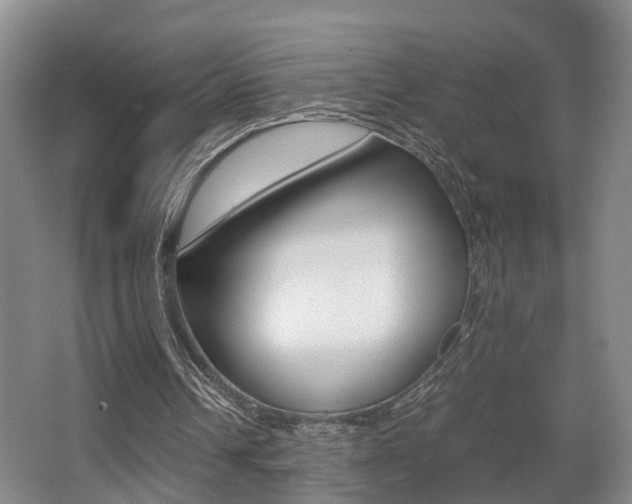 X0000064040242200601270939