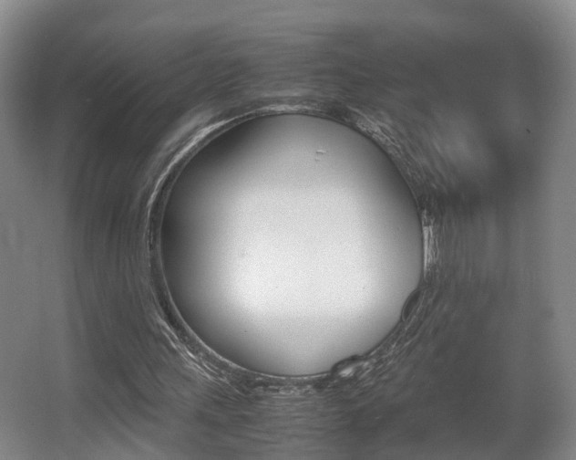 X0000064040243200601270939