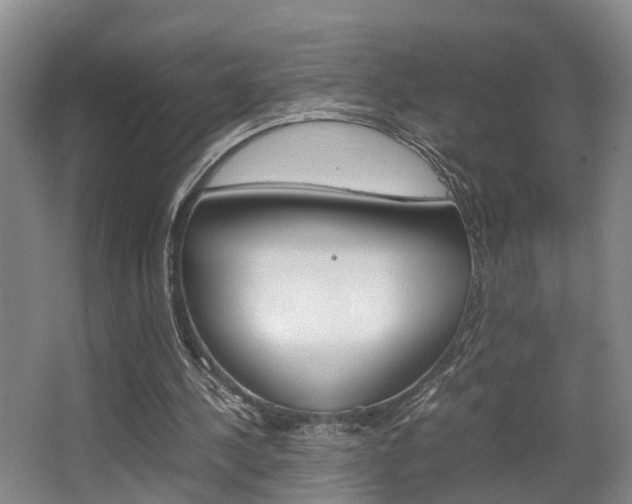 X0000064040244200601270939