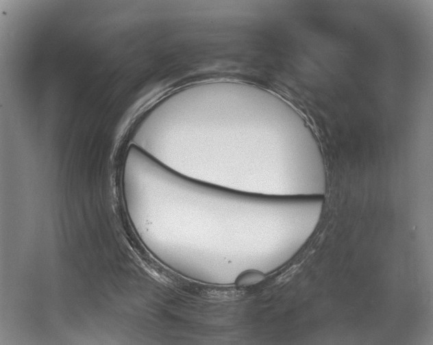 X0000064040245200601270939