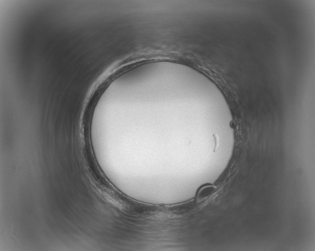 X0000064040246200601270939