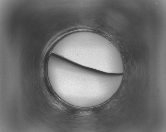 X0000064040247200601270939