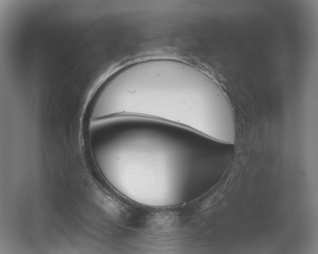 X0000064040248200601270939