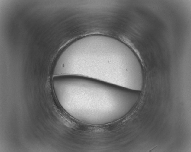 X0000064040249200601270939