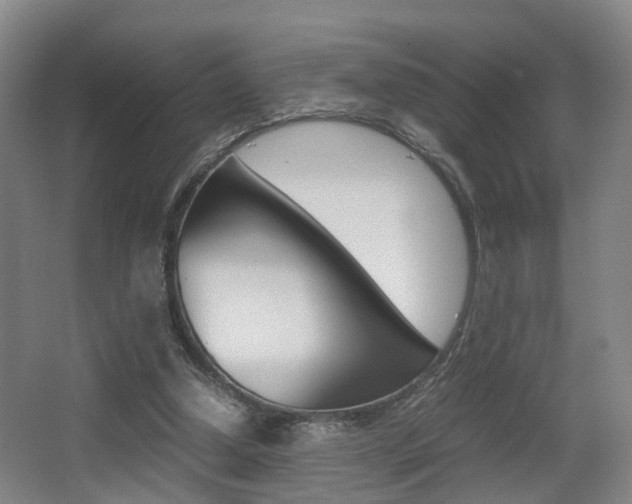 X0000064040250200601270939