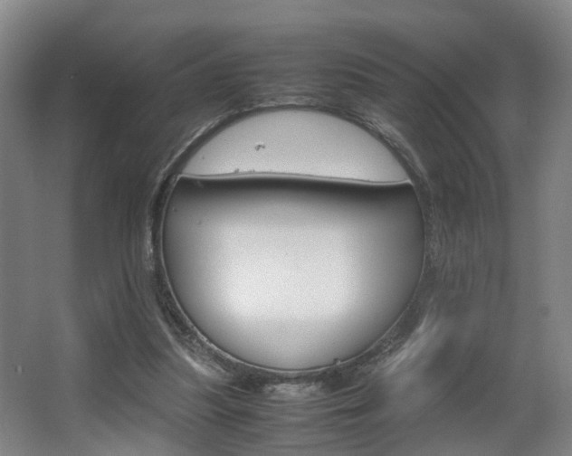 X0000064040251200601270940