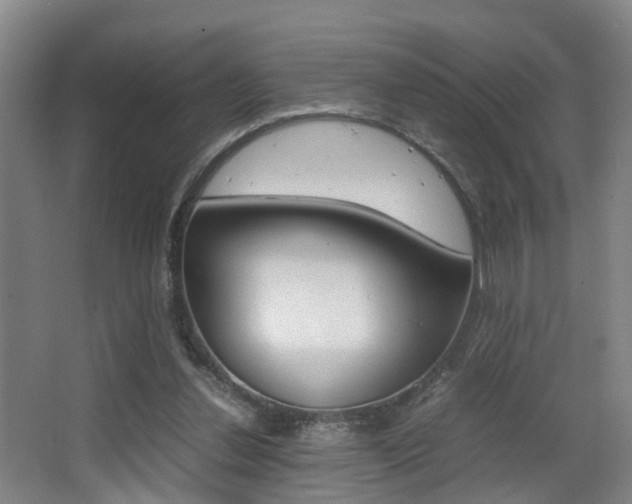 X0000064040252200601270940