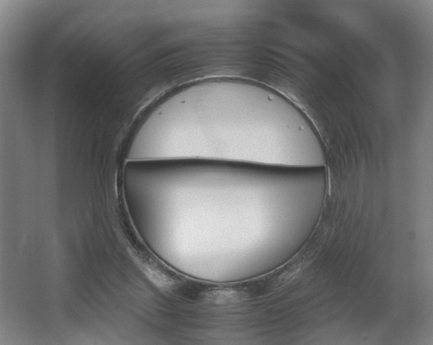 X0000064040253200601270940