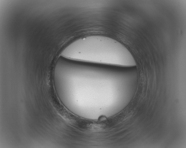 X0000064040255200601270940