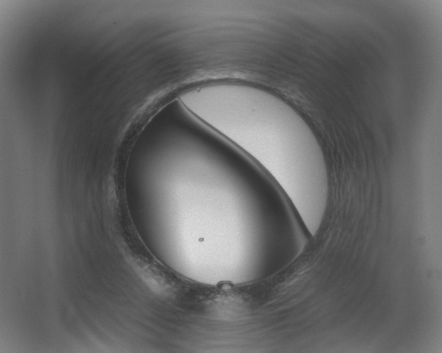 X0000064040256200601270940