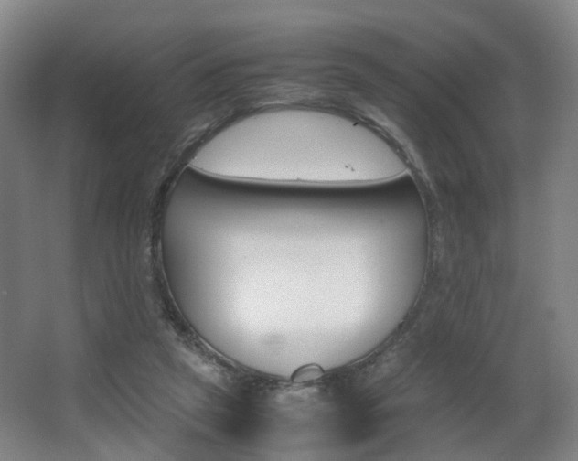 X0000064040257200601270940