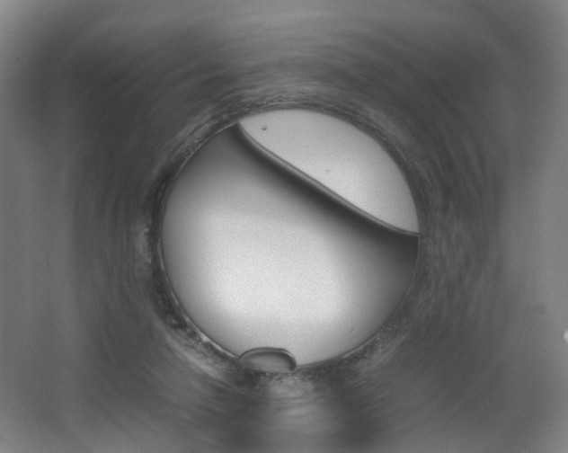 X0000064040258200601270940