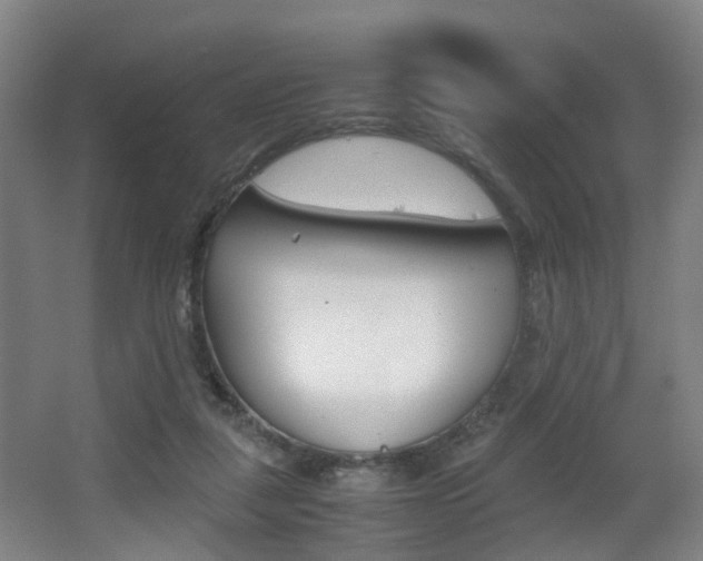 X0000064040259200601270940