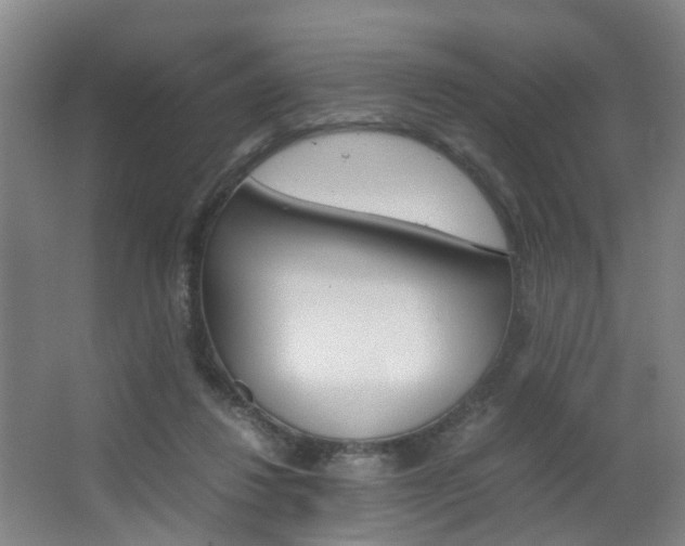 X0000064040260200601270940