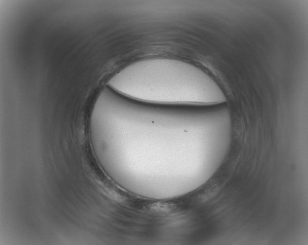 X0000064040261200601270940