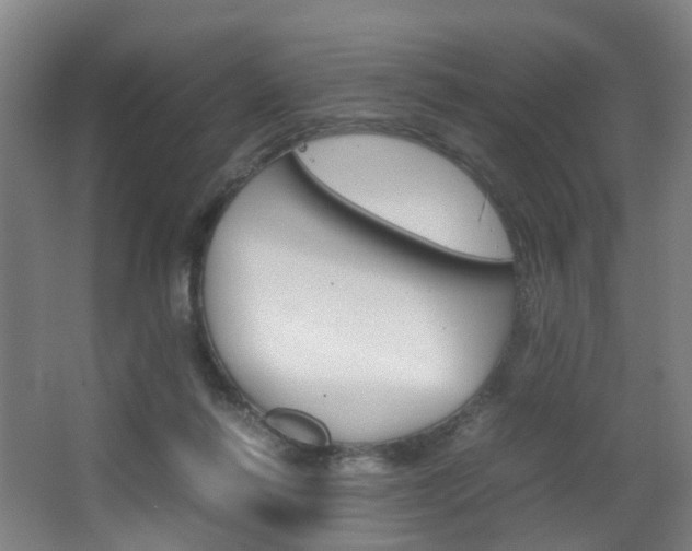 X0000064040262200601270940