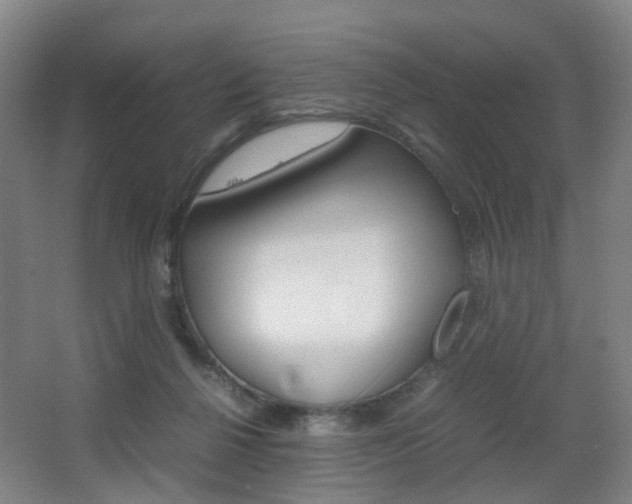 X0000064040264200601270940