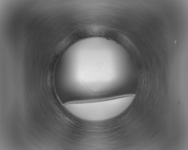 X0000064040266200601270940