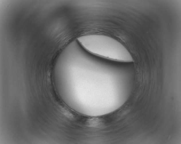 X0000064040269200601270940