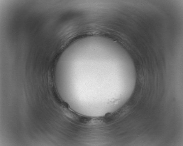 X0000064040270200601270940