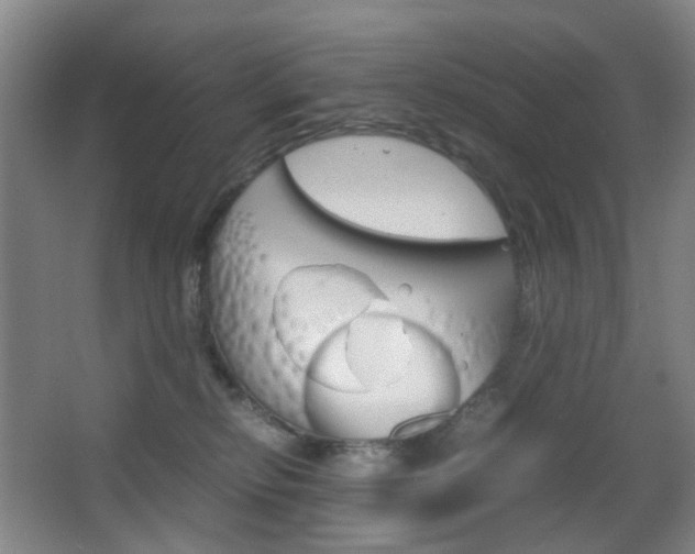 X0000064040278200601270940