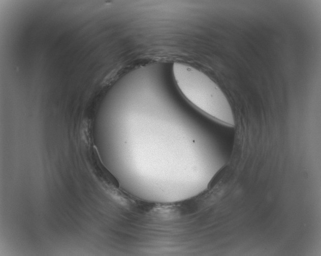 X0000064040280200601270940