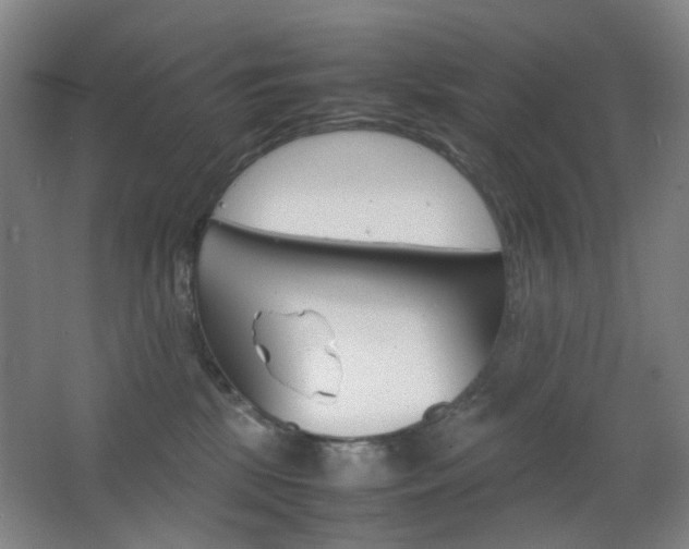 X0000064040281200601270940