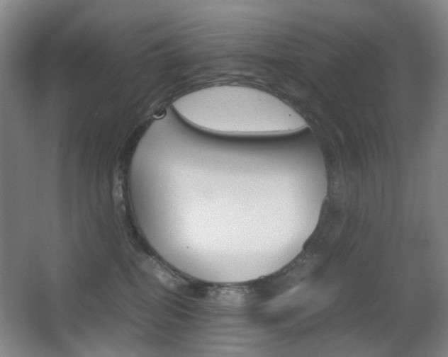 X0000064040282200601270940