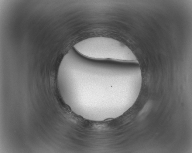 X0000064040283200601270940