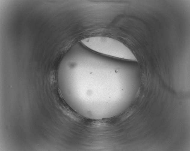 X0000064040284200601270940