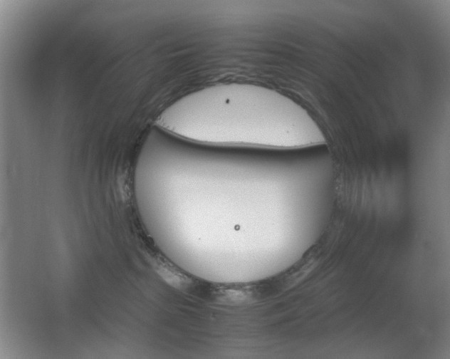 X0000064040285200601270940