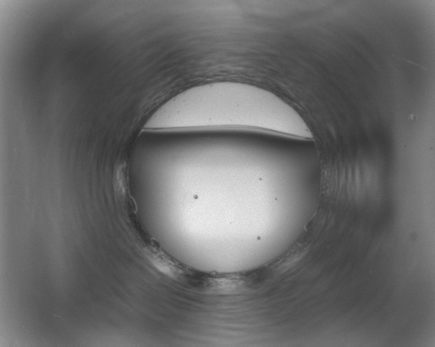 X0000064040286200601270940