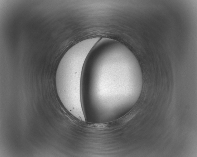 X0000064040288200601270940