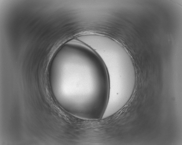 X0000064040289200601270939