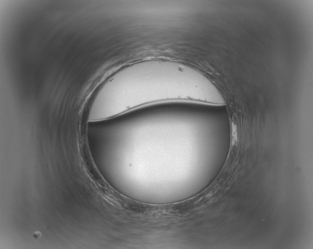 X0000064040291200601270939