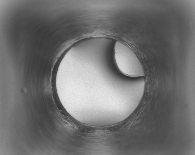 X0000064040292200601270939