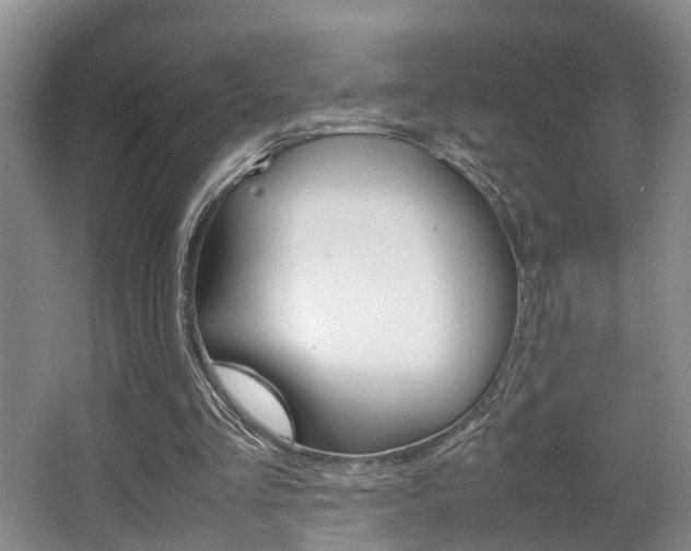 X0000064040293200601270939