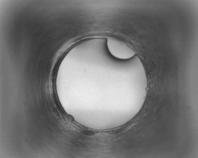 X0000064040294200601270939