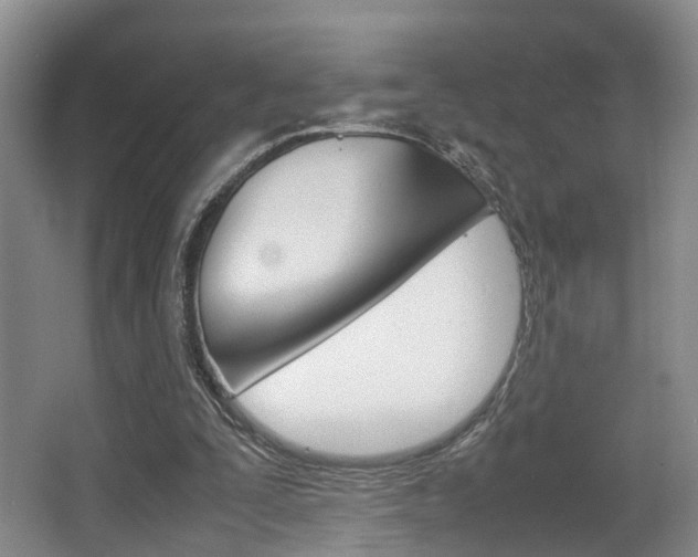 X0000064040295200601270939