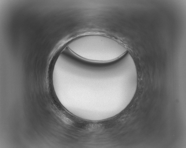 X0000064040296200601270939