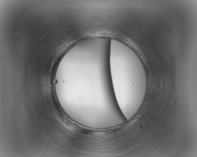 X0000064040298200601270939