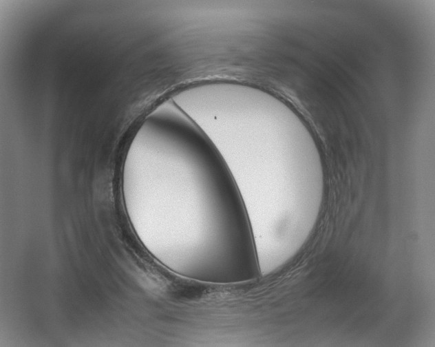 X0000064040299200601270939