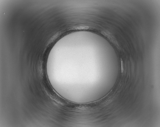 X0000064040300200601270939