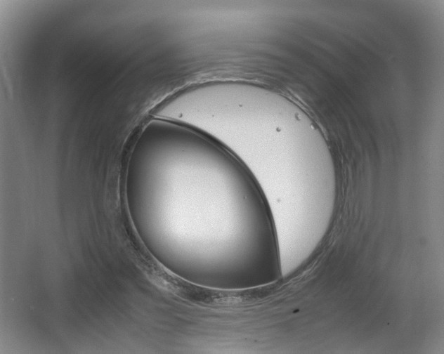 X0000064040301200601270939