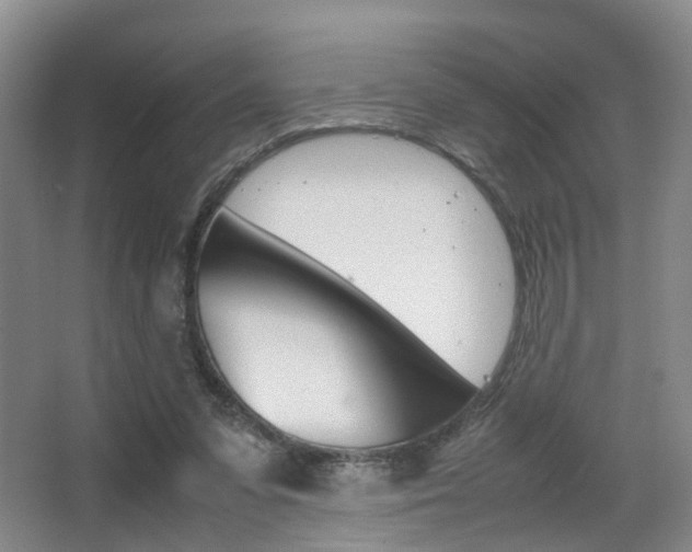 X0000064040303200601270939