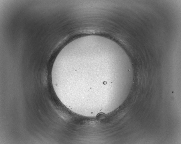 X0000064040304200601270939